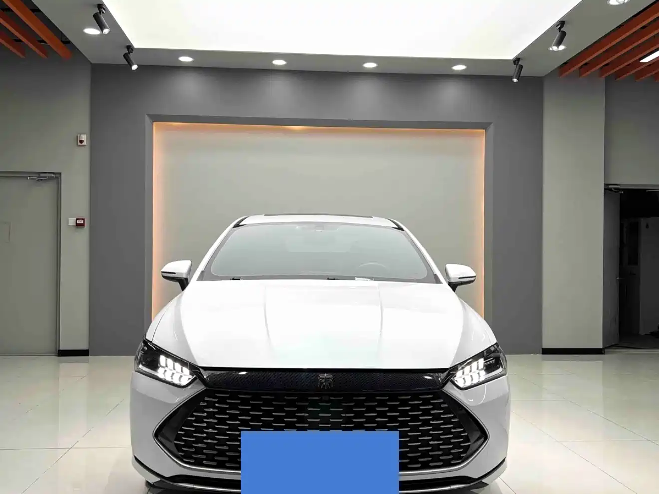 BYD Qin PLUS 2021 DM-i 55KM Flagship