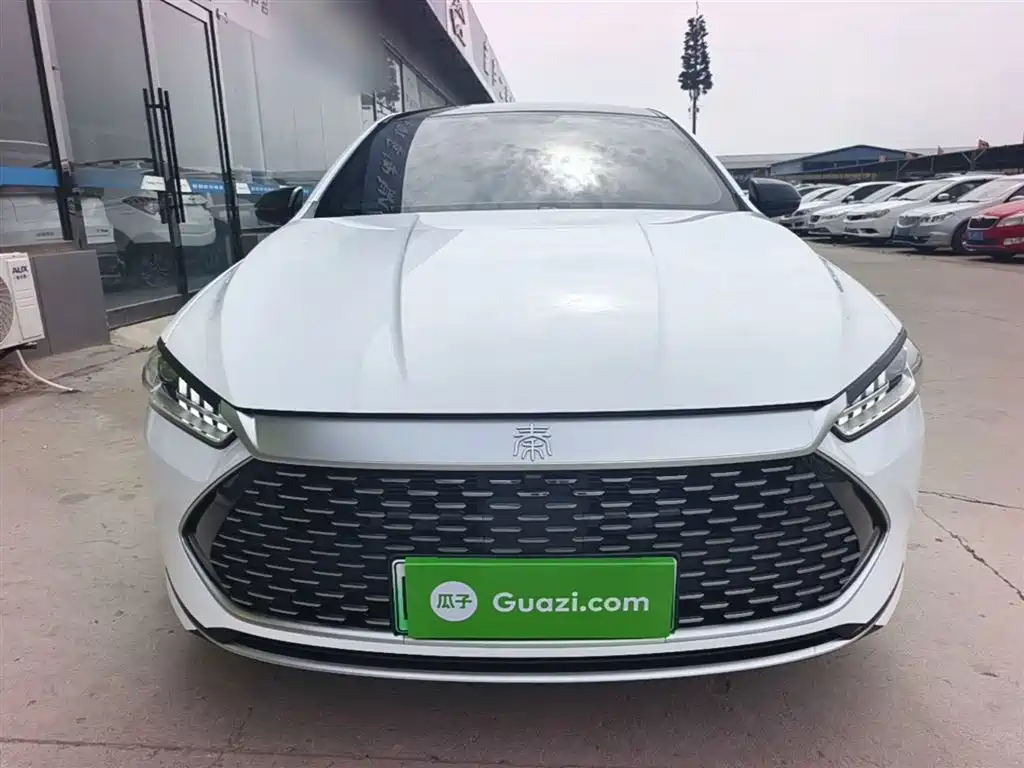 BYD Qin PLUS 2024 Glory Edition DM-i 55KM Leading фото 3
