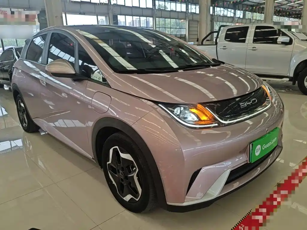 Фото 4 - BYD Dolphin