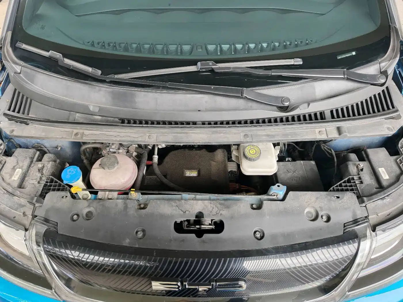 BYD Dolphin 2023 401km Knight Edition фото 10