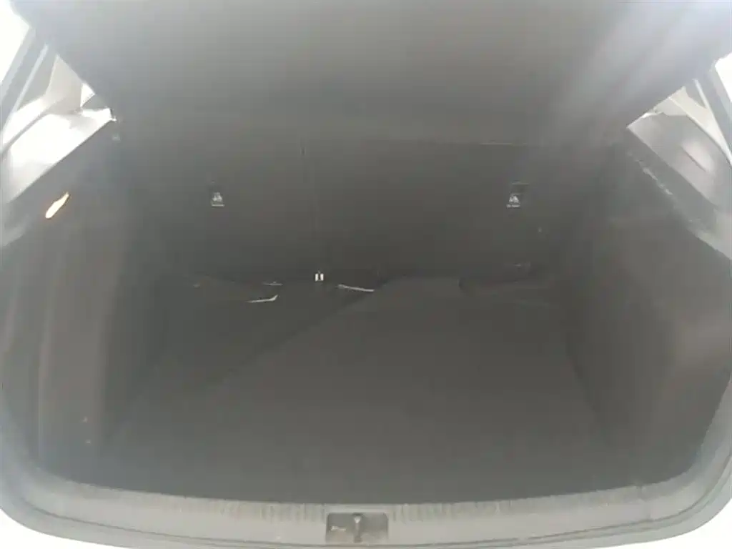Volkswagen Santana 2018 Gran Santana 1.5L Automatic Comfortline фото 19