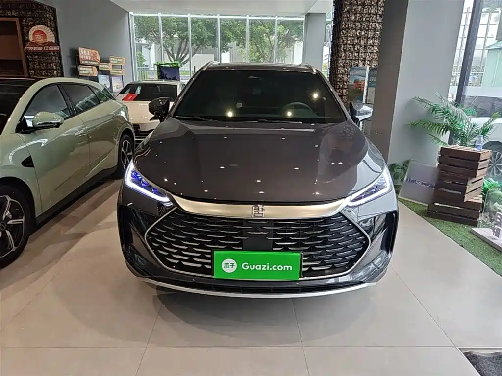 BYD Tang New Energy 2024 DM-p Glory Edition 215KM AWD Premium фото 3