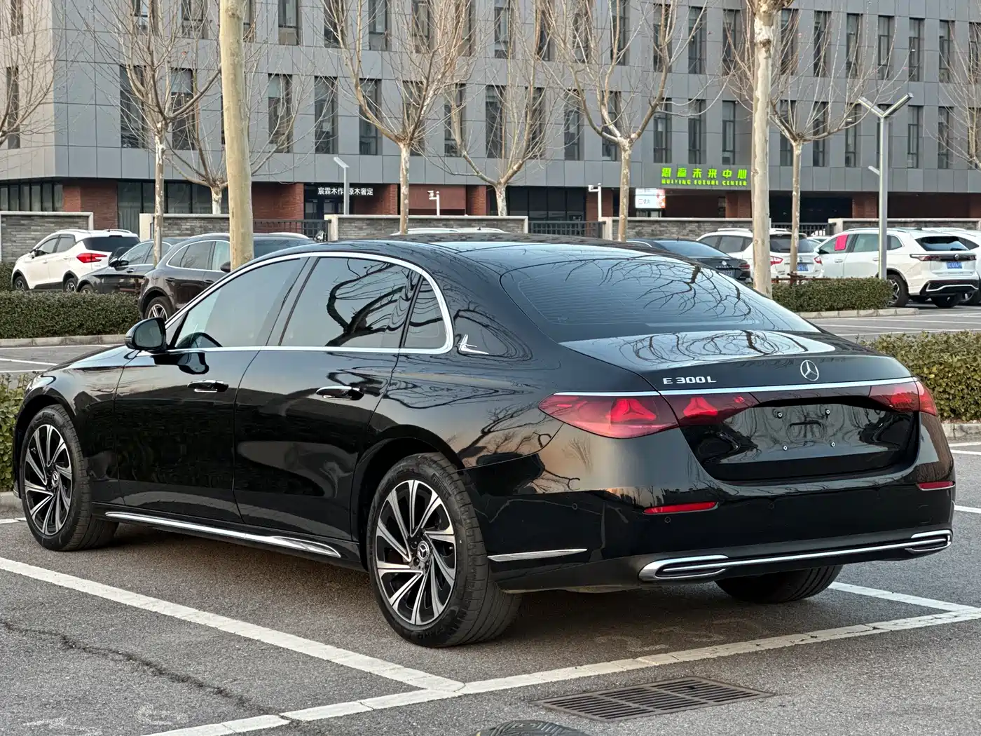Mercedes-Benz E-Class 2025 E 300 L Luxury фото 6
