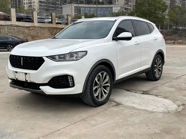 wei-pai wei-brand-vv6