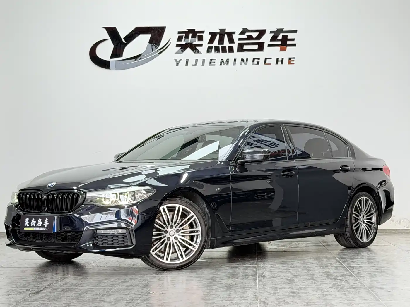 BMW 5 Series 2019 530Li Leading M Sport Package