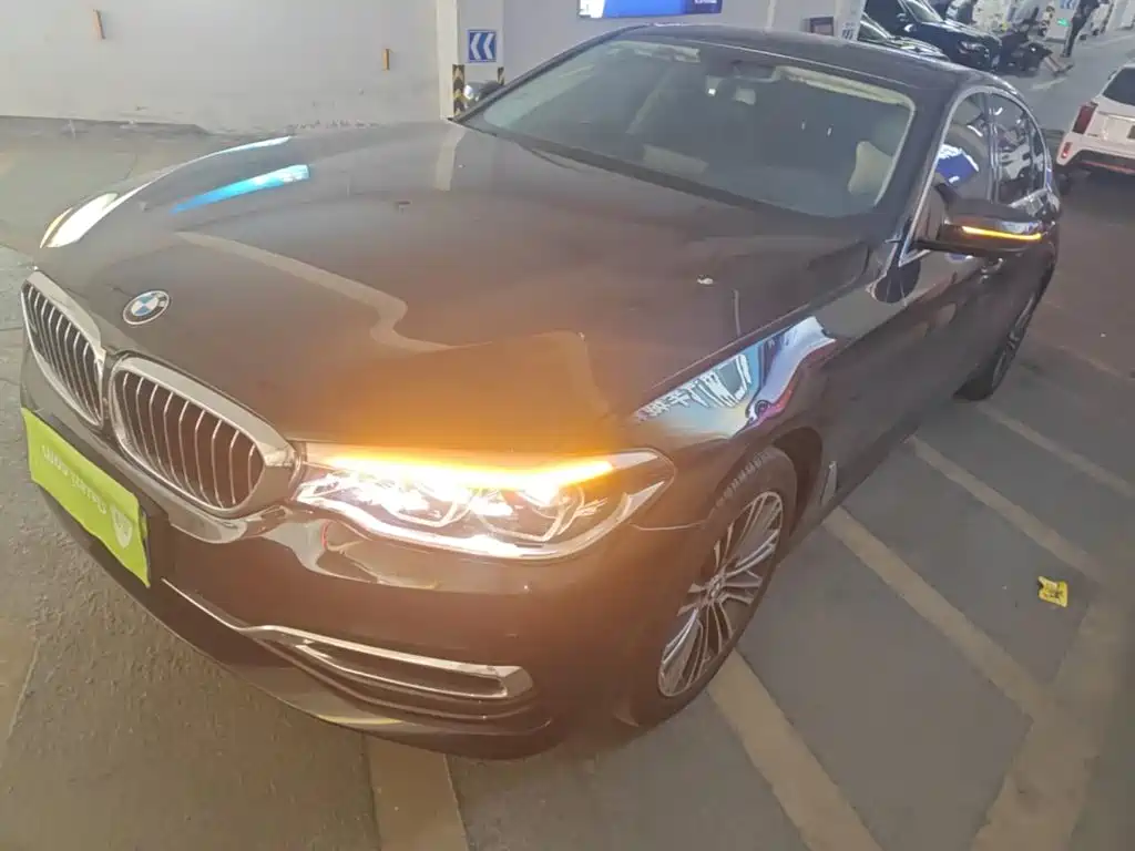 BMW BMW 5 Series 2019 530Li Premium Luxury Package