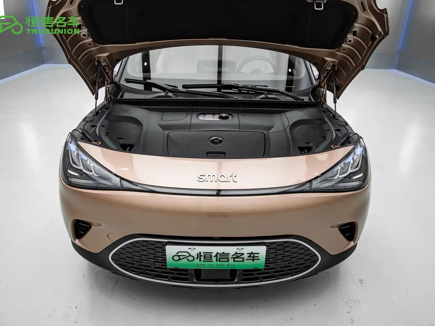 smart Elf #1 2025 2026 Model Smart Upgrade Edition