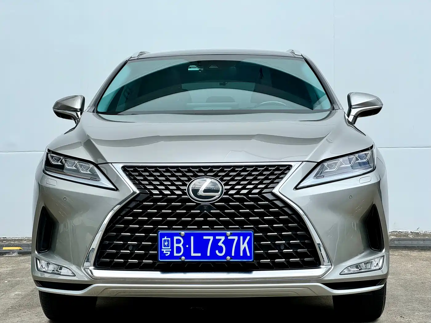 Lexus RX 2020 300 4WD Luxury Edition China VI фото 2