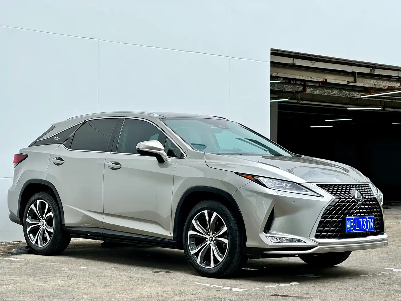 Lexus RX 2020 300 4WD Luxury Edition China VI фото 3