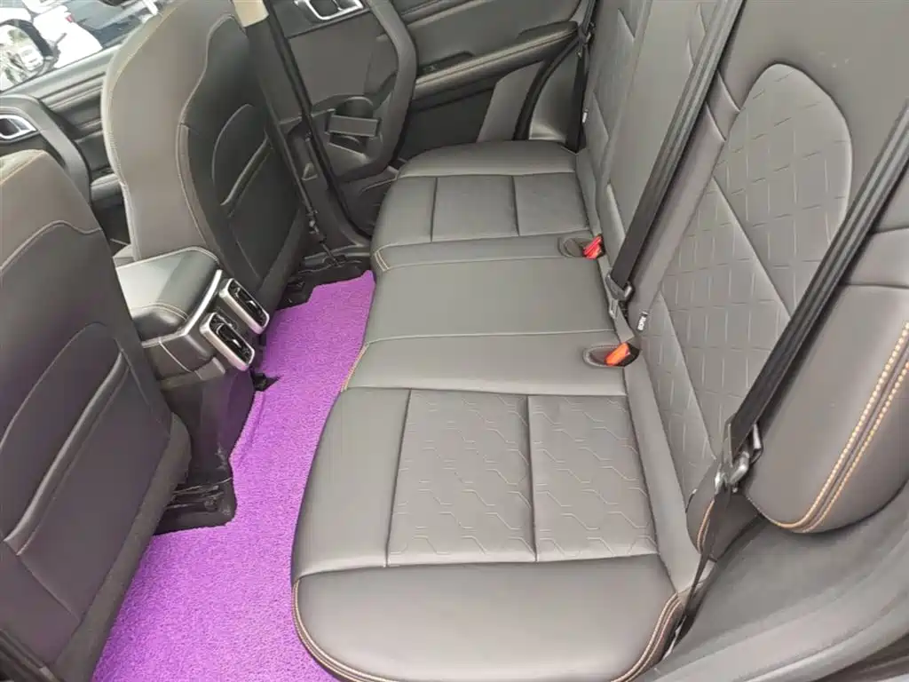 Haval Big Dog 2021 1.5T DCT 2WD Labrador Edition фото 17