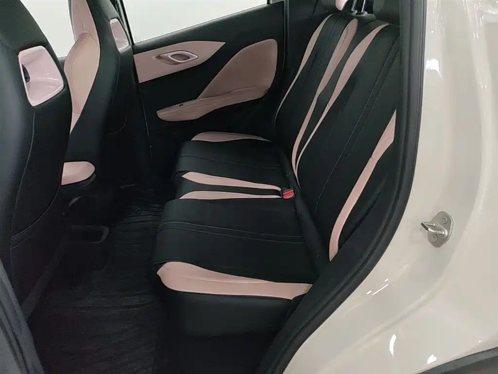 BYD Seagull 2025 Smart Drive Edition 305km Vitality Version фото 17