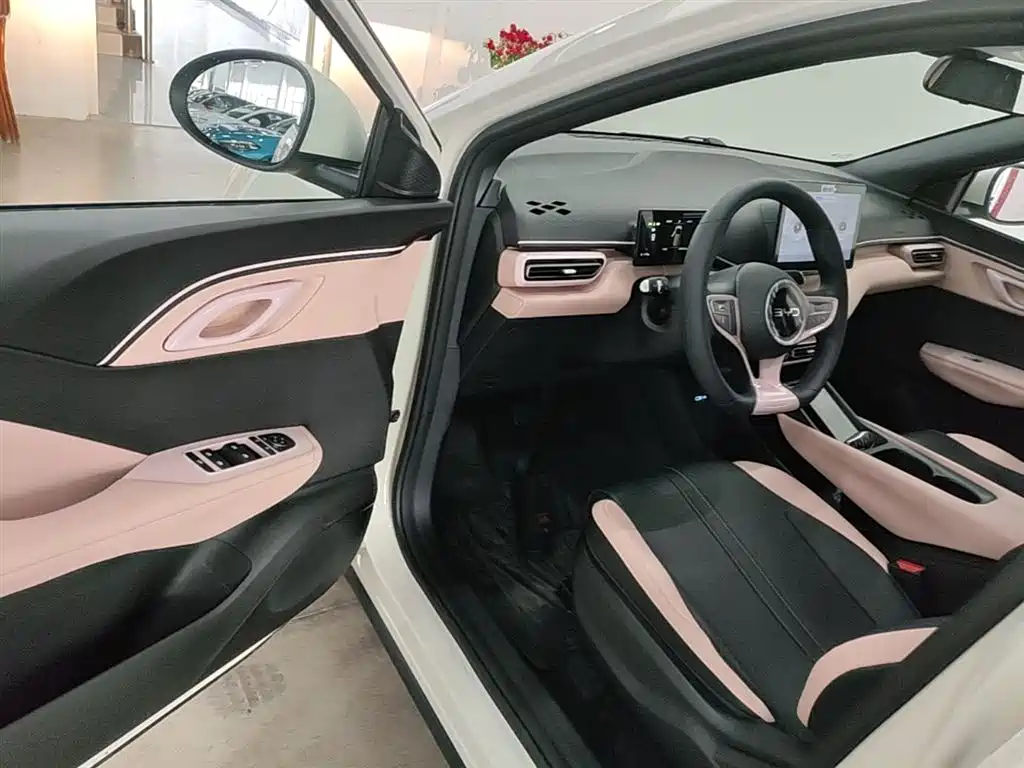 BYD Seagull 2025 Smart Drive Edition 305km Vitality Version фото 16