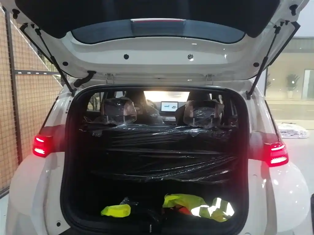 BYD Seagull 2025 Smart Drive Edition 305km Vitality Version фото 19
