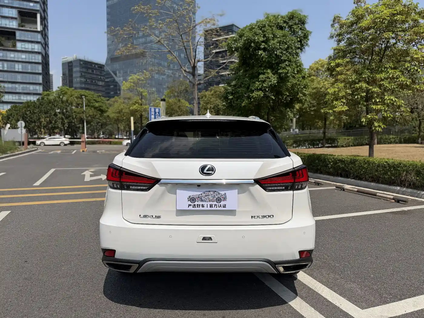 Фото 4 - Lexus RX