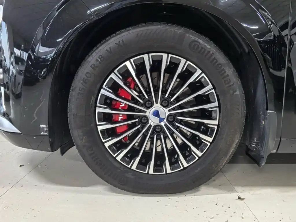 Denza D9 2023 2022 DM-i 970 AWD Flagship