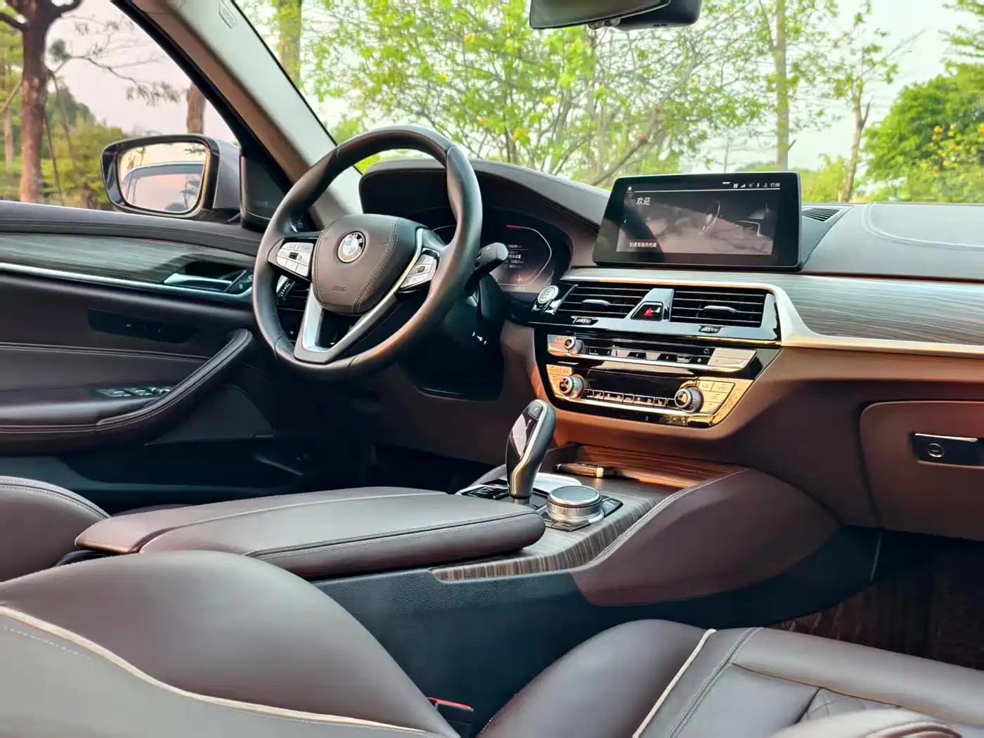 BMW 5 Series 2020 530Li Leading Luxury Package фото 10