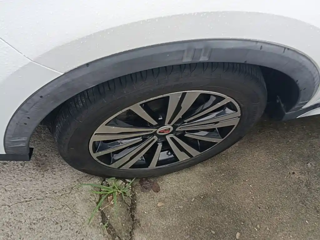 Фото 23 - Roewe RX5