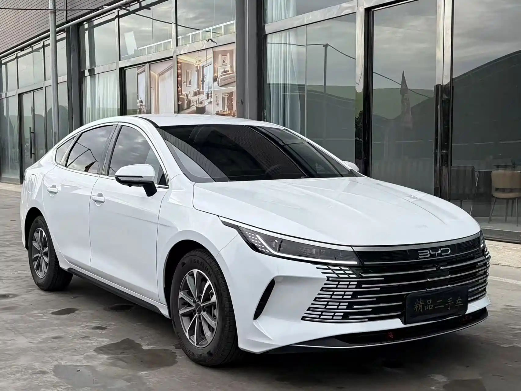 Photo 3 - BYD Destroyer 05