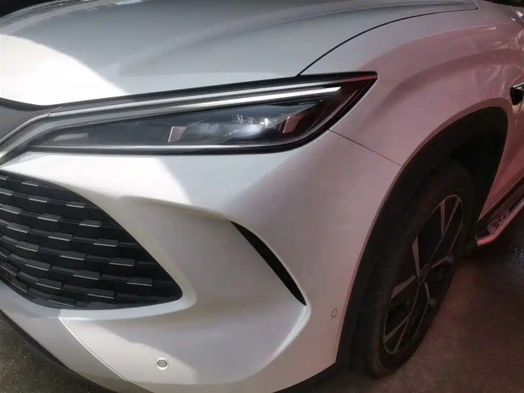BYD Song L DM-i 2025 Smart Drive 160km Premium фото 24