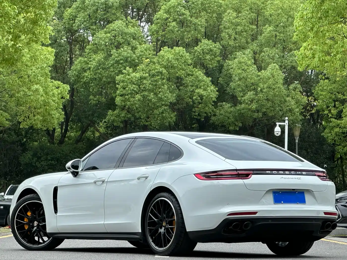 Porsche Panamera 2020 Panamera 10th Anniversary Edition 2.9T фото 16