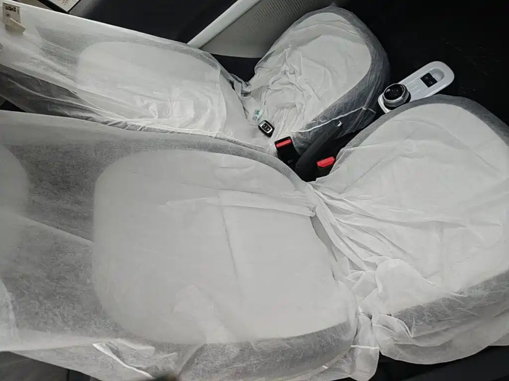 Geely Galaxy Panda 2026 2025 Panda mini 210km Vitality Bear