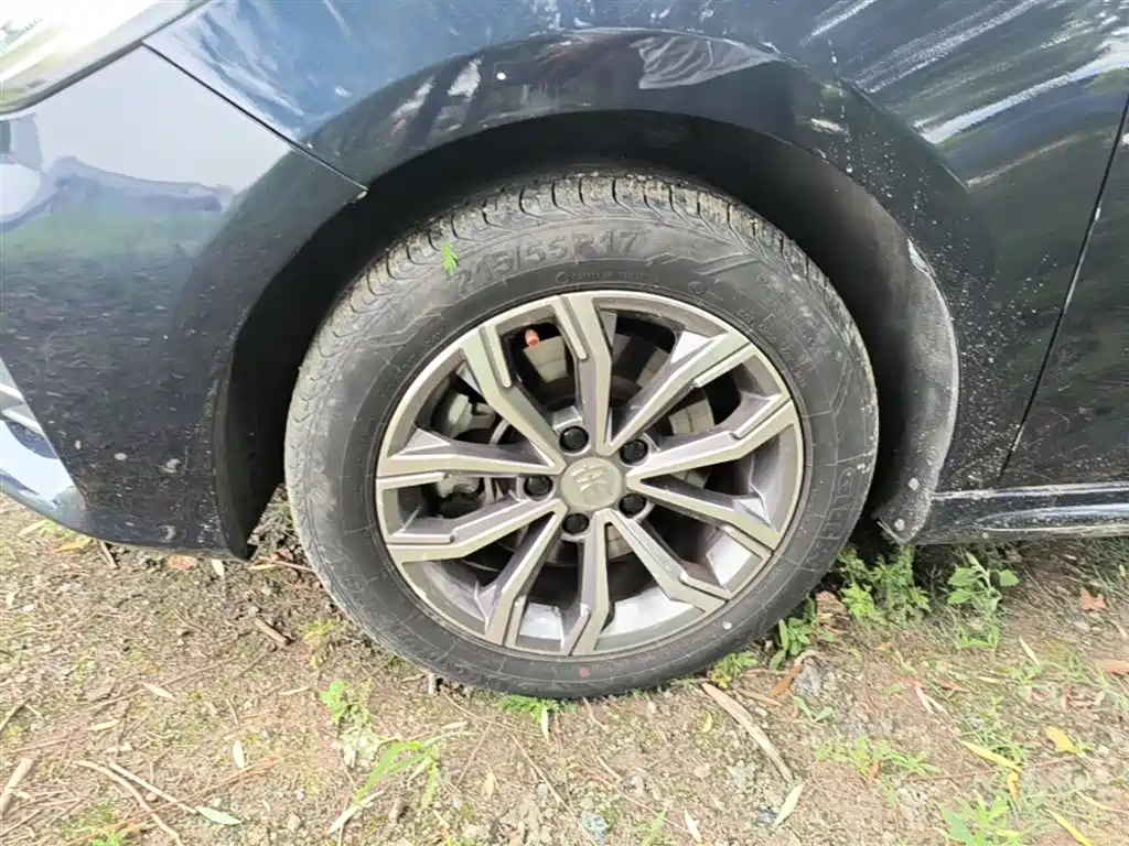 BYD Song MAX 2019 1.5T Auto Smart Connected Sunroof 6-seater China VI фото 23