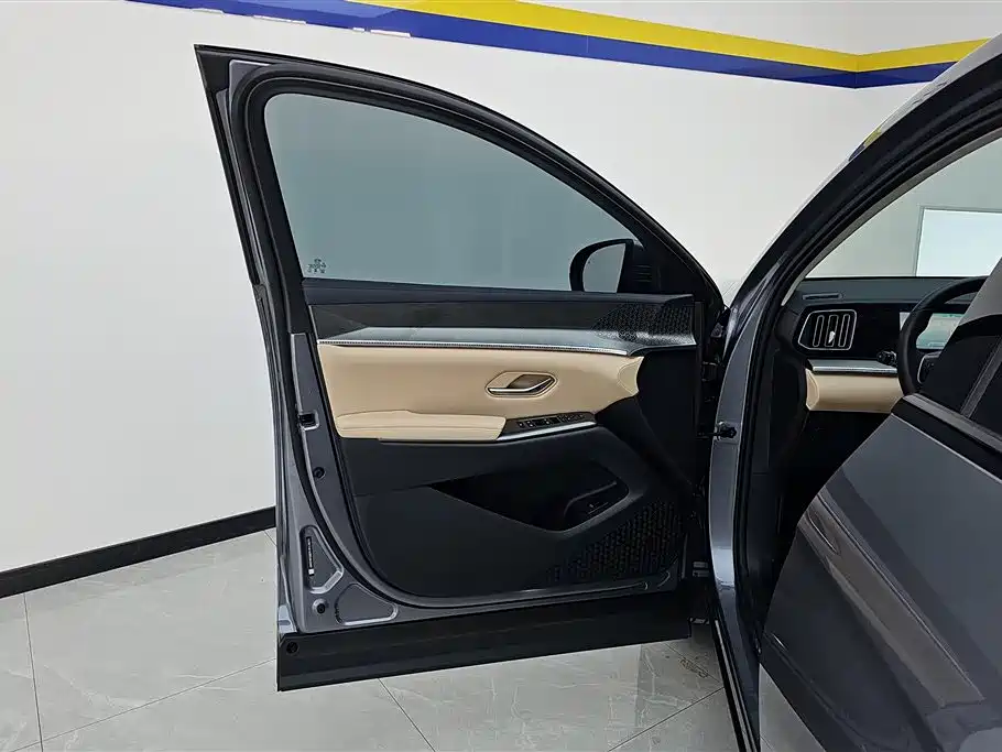 BYD Song Pro New Energy 2025 2nd Gen DM-i 115KM Excellence фото 7