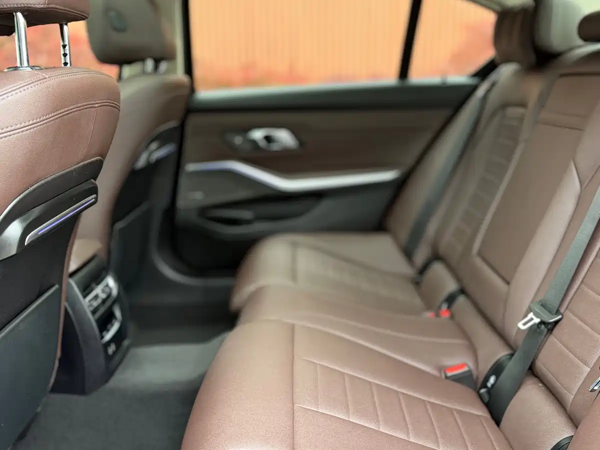 BMW 3 Series 2020 325Li M Sport Package фото 20