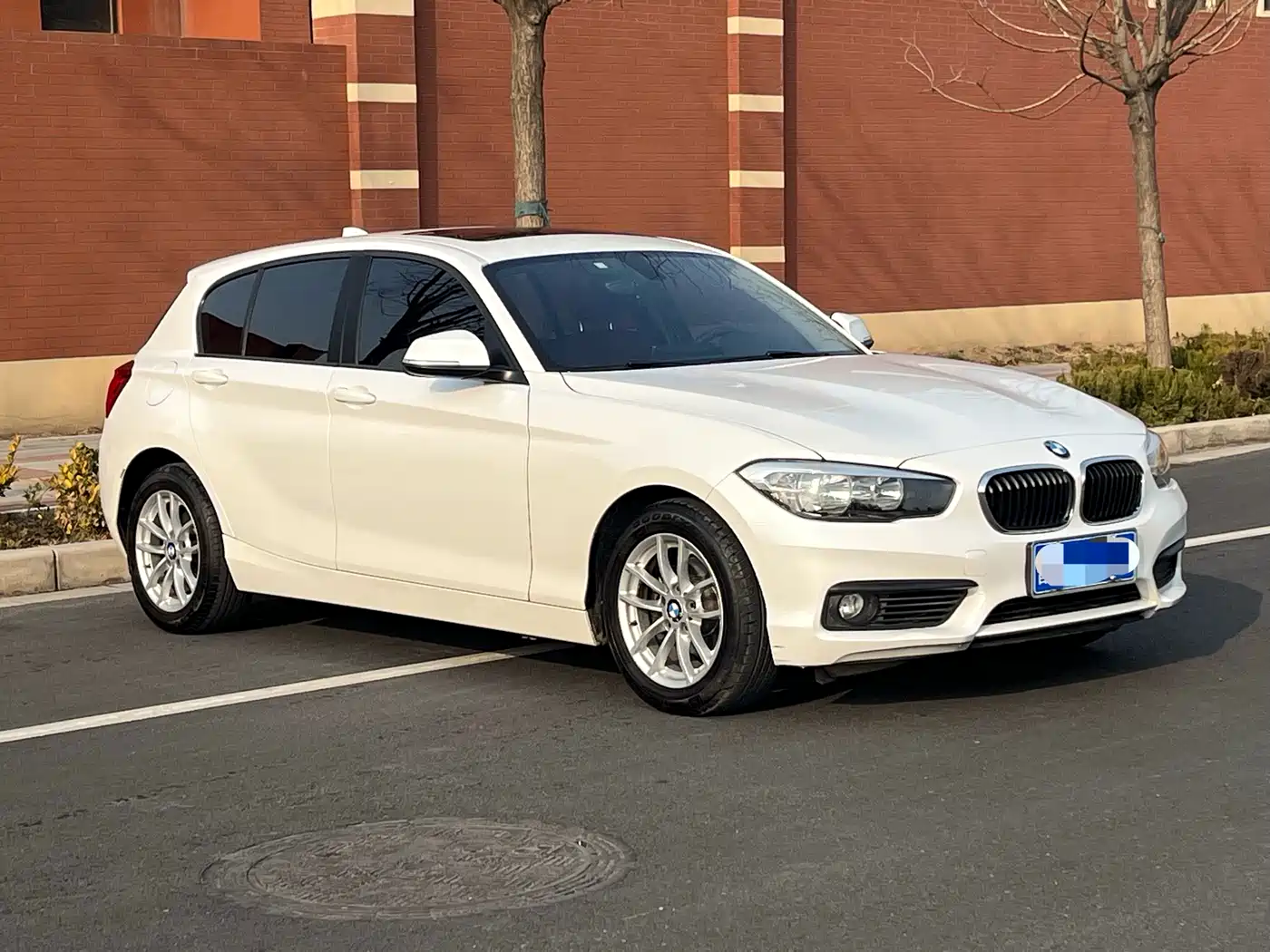 BMW 1 Series (Import) 2016 118i Leading фото 7