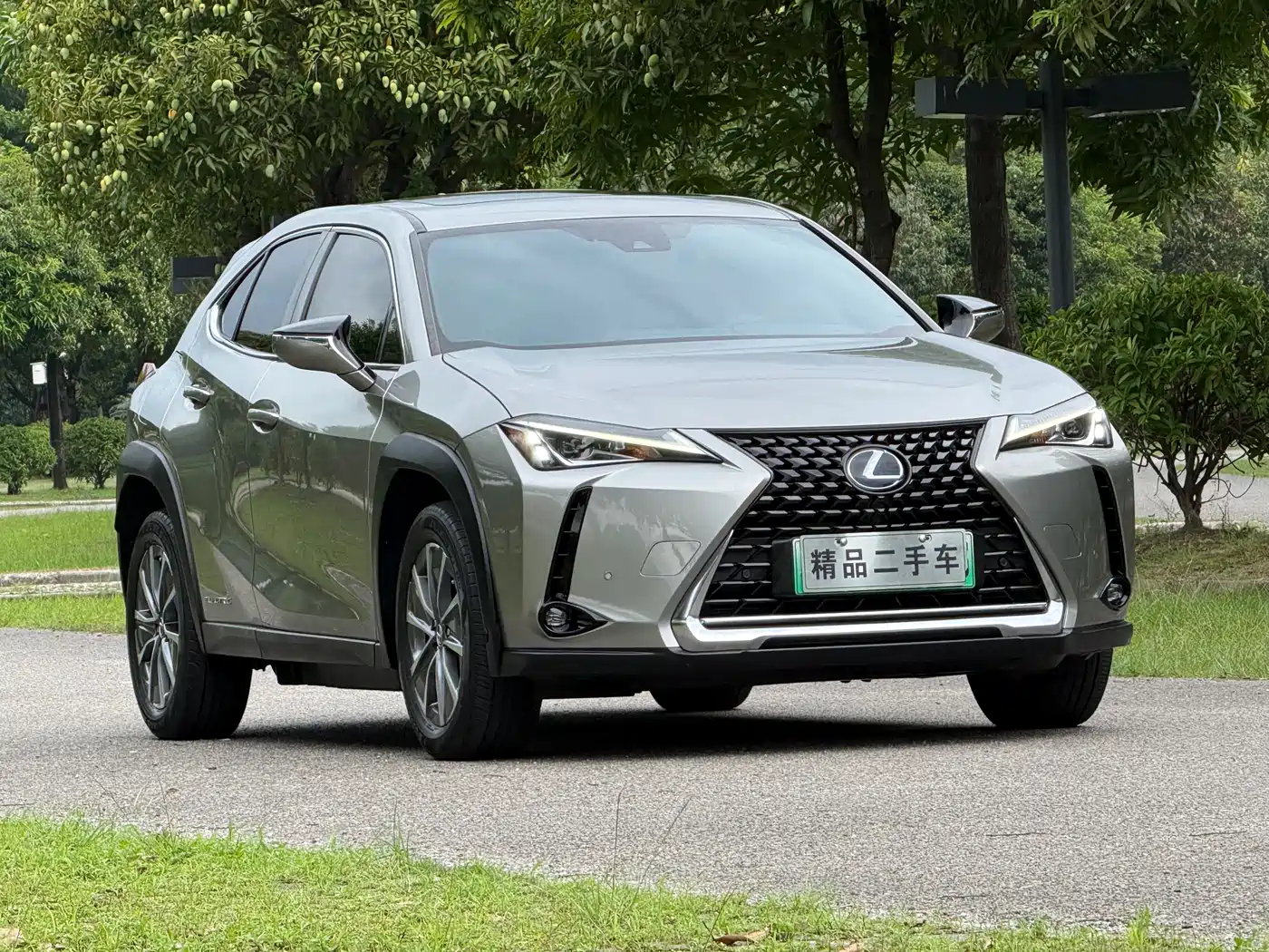 Lexus UX Electric 2020 300e Pure Yue Edition фото 3