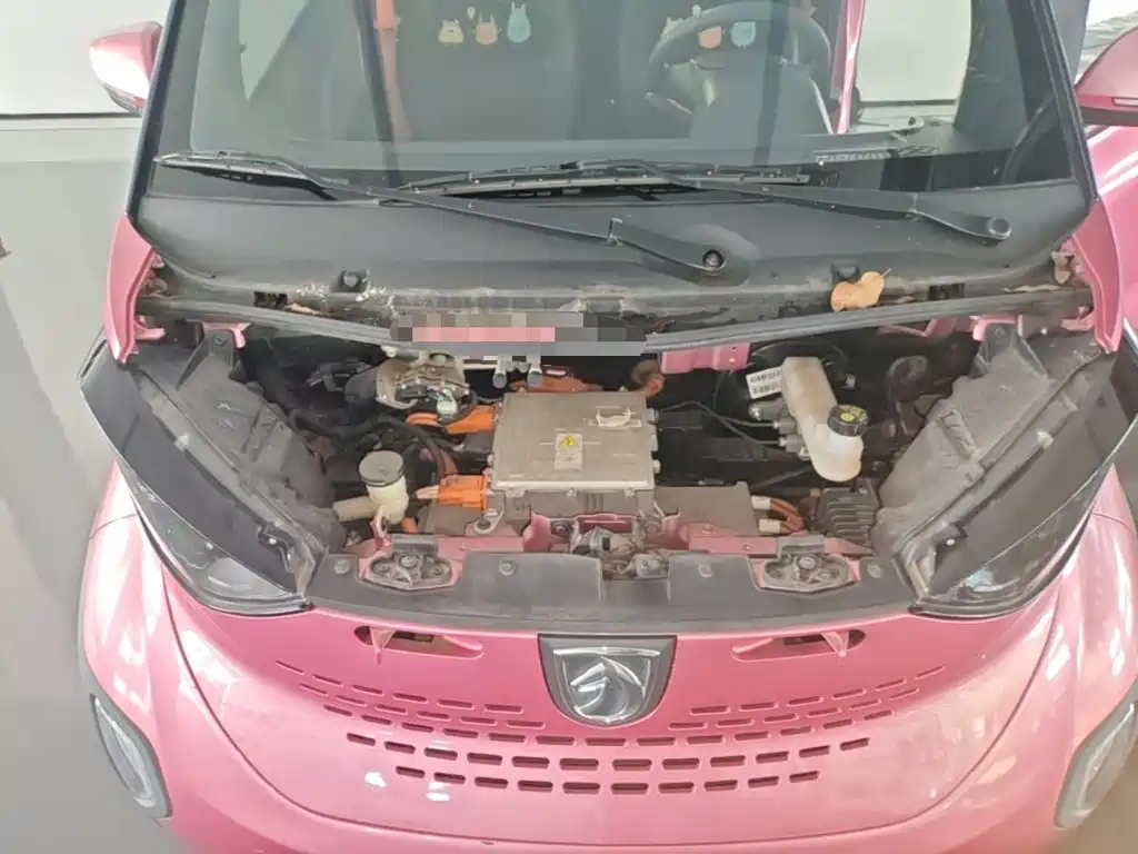 Baojun E100 2021 2020 305KM Intelligent Edition