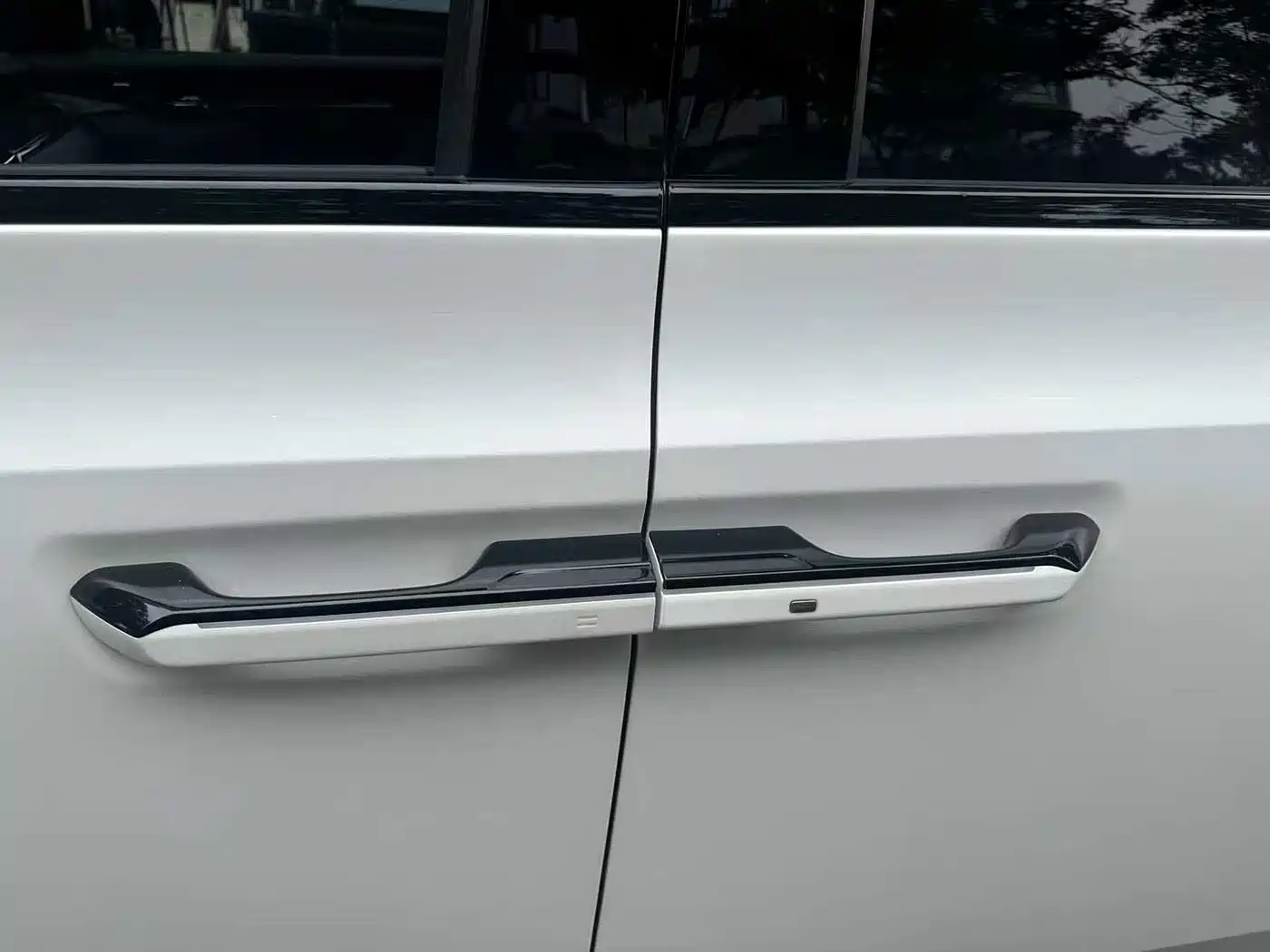 ZEEKR 009 2024 2024 6-seat Executive AWD 108kWh