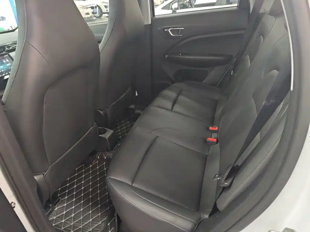 Leapmotor T03 2020 2020 400 Luxury Edition