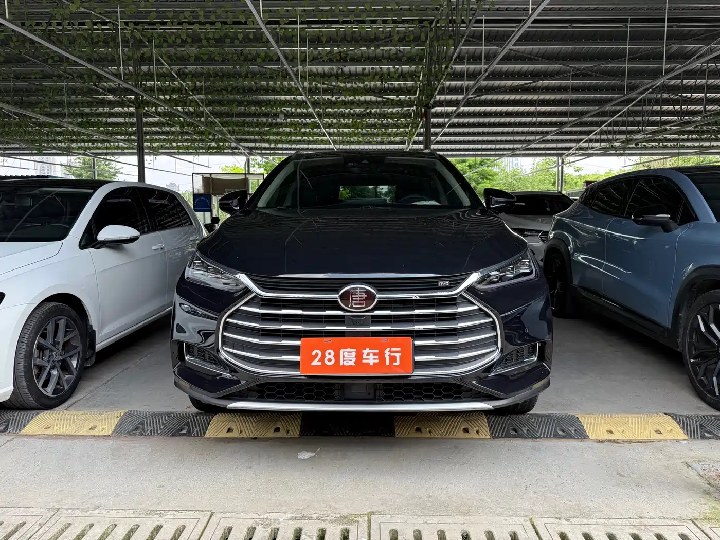 BYD TANG