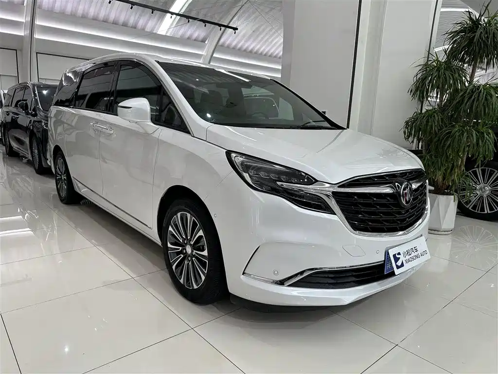 Buick GL8 2022 ES Landmark 653T Flagship фото 3