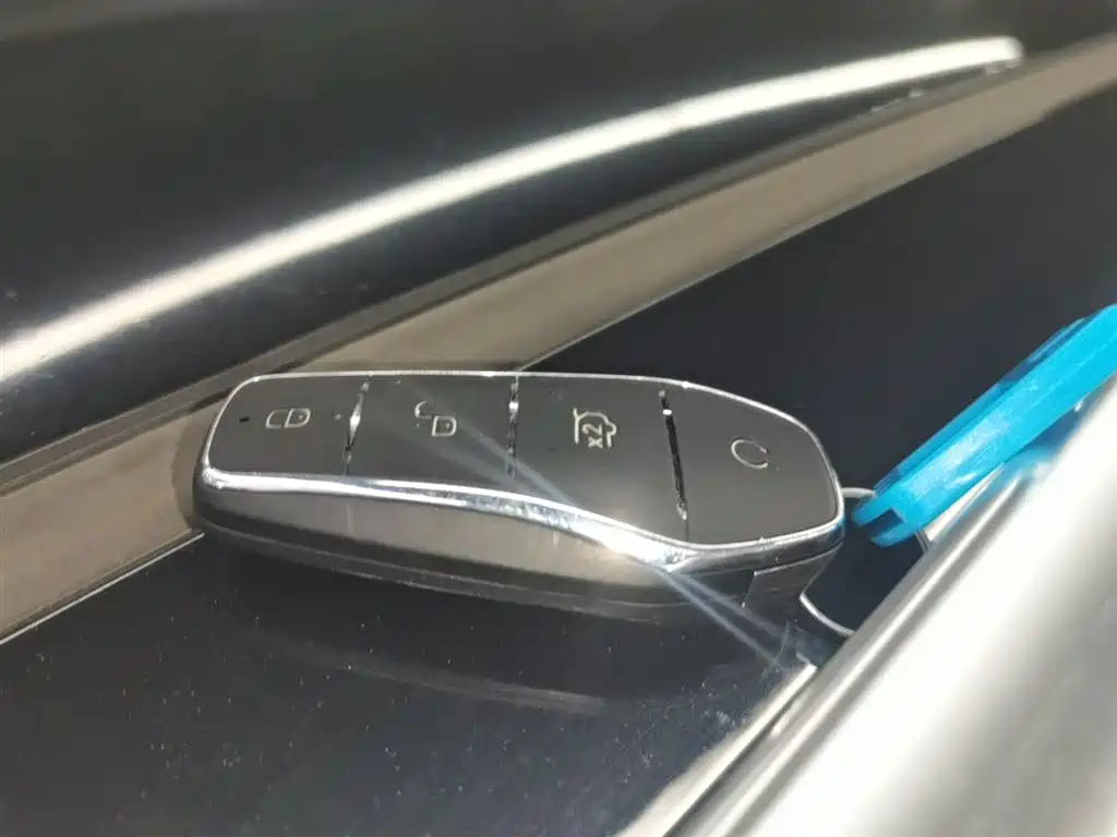 BYD Tang New Energy 2024 DM-p Glory Edition 215KM AWD Premium фото 9