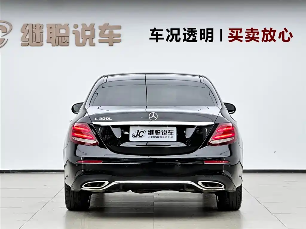 Mercedes-Benz E-Class 2020 E 300 L Sport Luxury Model фото 4