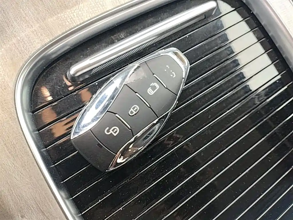 Hongqi HQ9 PHEV 2024 Model 2.0T AWD Business Edition фото 9