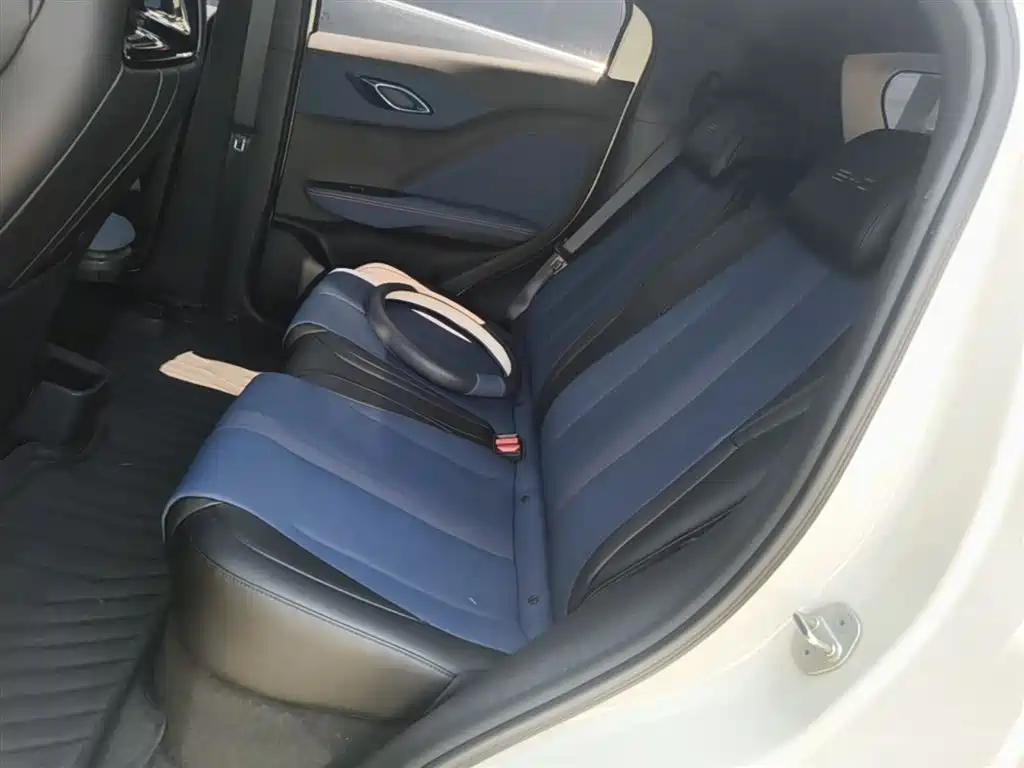 BYD Seagull 2023 Freedom Edition фото 17