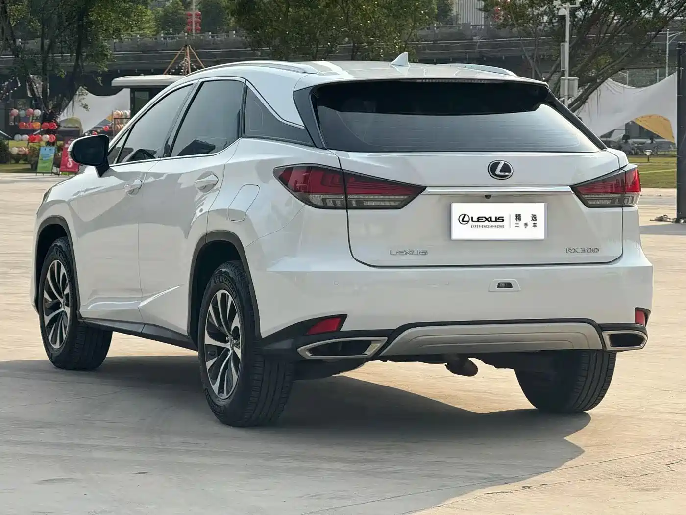 Lexus RX 2020 Facelift 300 2WD Elite Edition фото 5