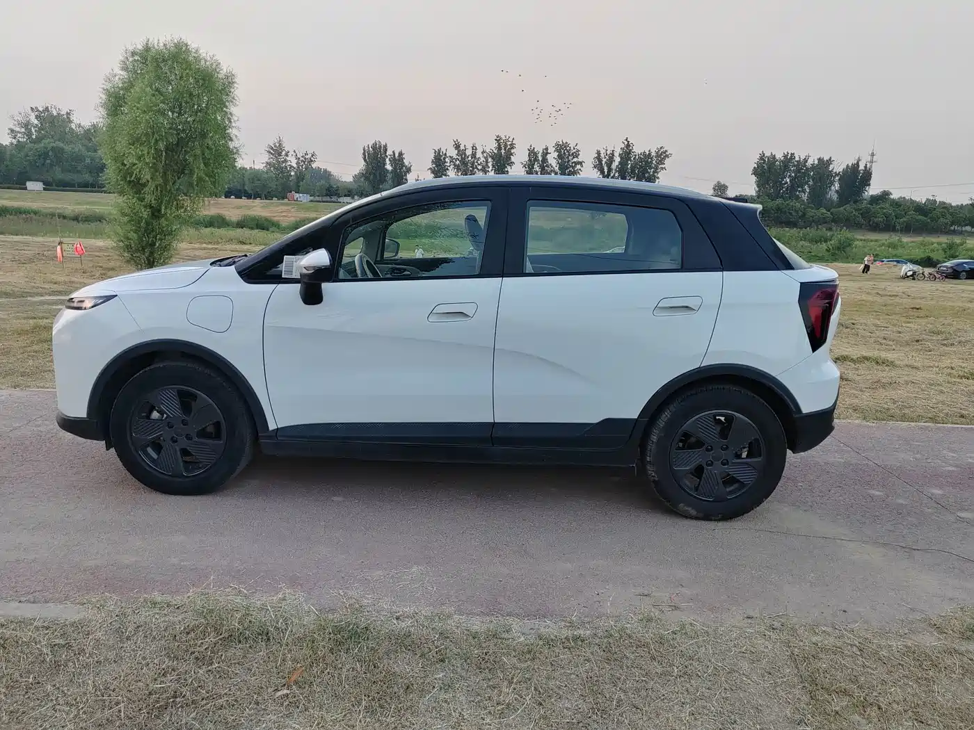 Geely Geometry E Firefly 2023 2023 401KM Thunderbolt Tiger 5-Seater