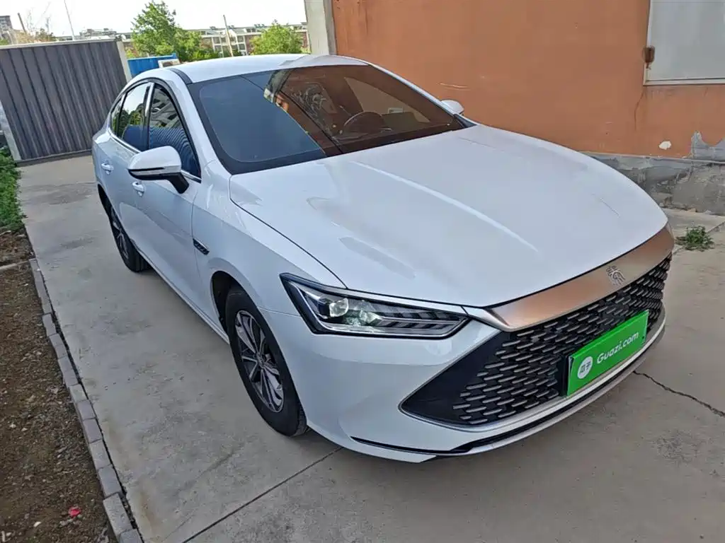 BYD Qin PLUS 2024 Glory Edition DM-i 55KM Leading фото 4
