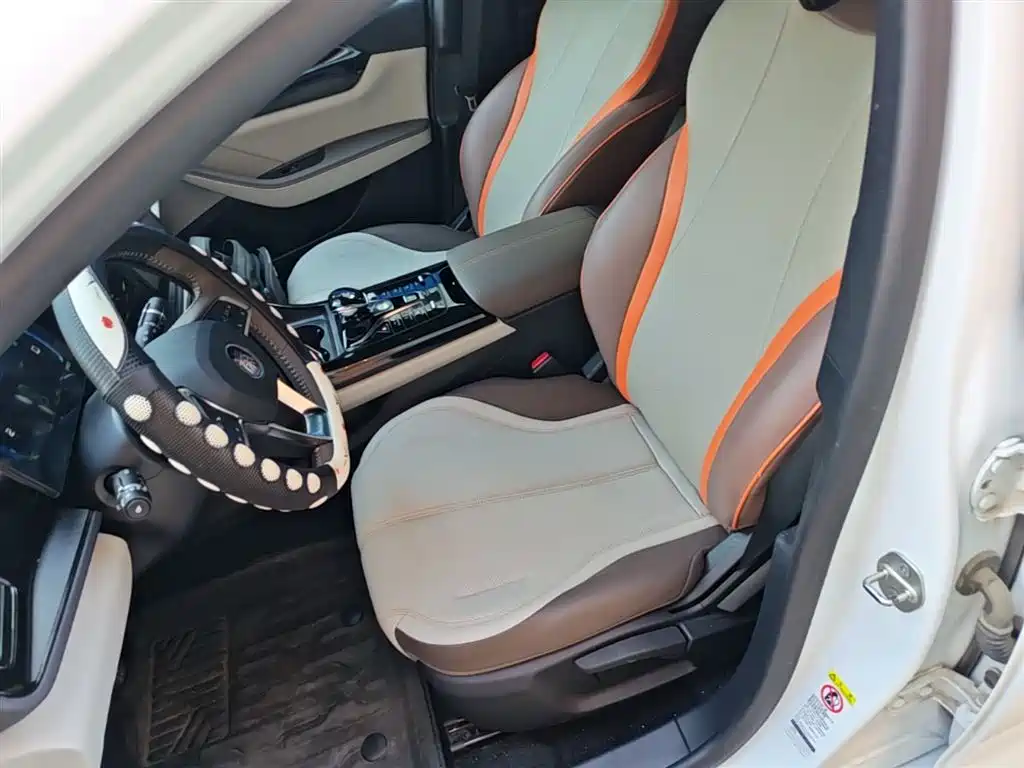 BYD Qin PLUS 2024 Glory Edition DM-i 55KM Leading фото 14