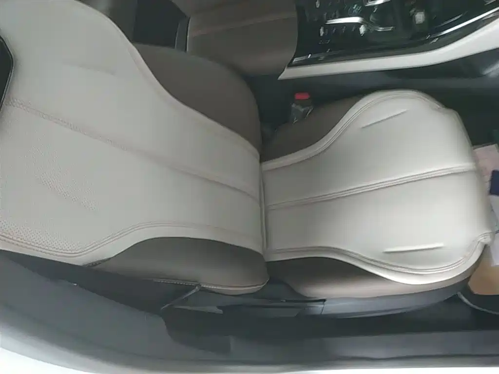 BYD Qin PLUS 2024 Glory Edition DM-i 55KM Leading фото 25