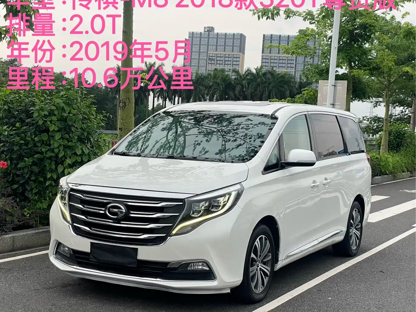 GAC Trumpchi Trumpchi M8 2018 320T Premium Edition фото 2