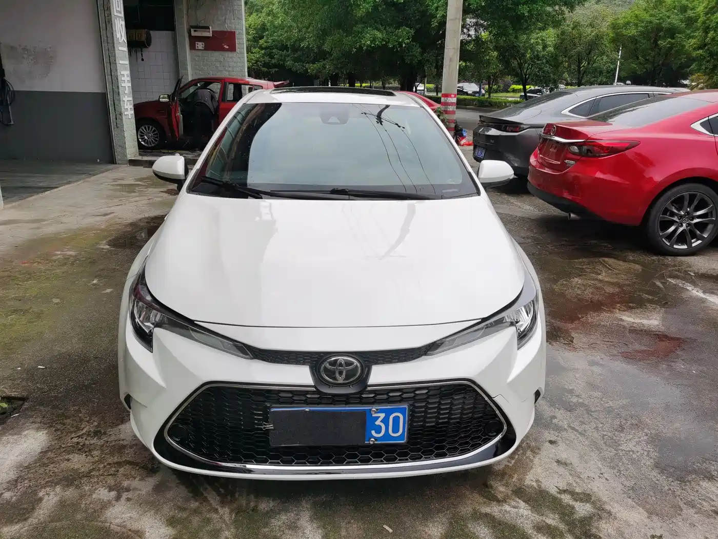 Toyota Levin 2019 185T CVT Luxury Edition China V