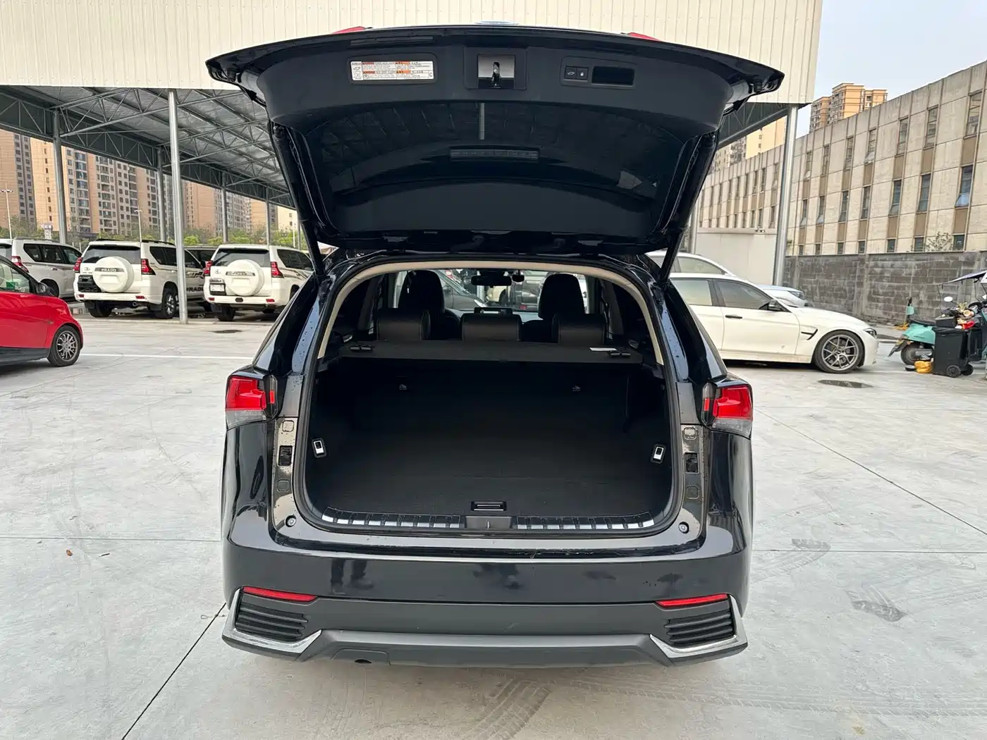 LEXUS NX