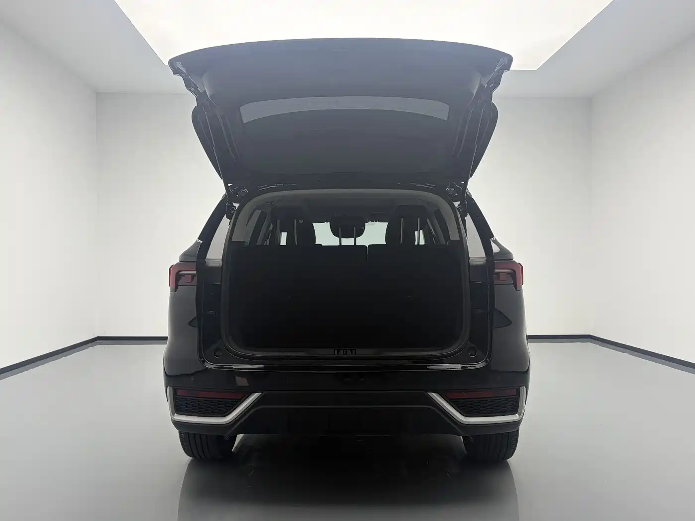 FORD LING RUI