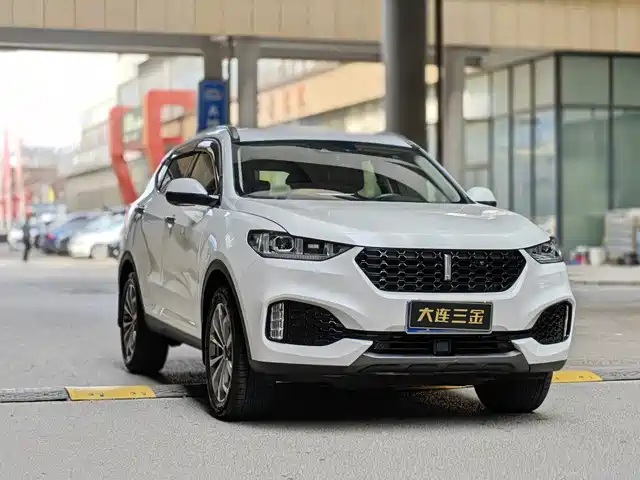 WEI PAI WEI BRAND VV6