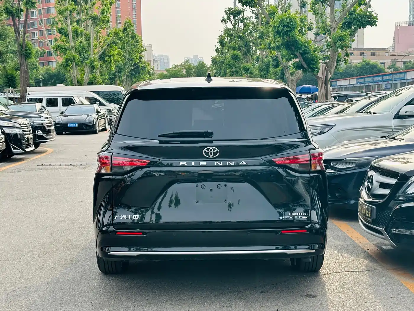 Toyota Sienna 2024 2.5L Hybrid 4WD Premium Edition фото 5